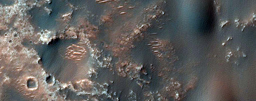 Dune Survey