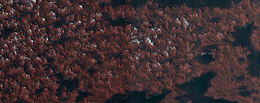Dune Interaction with Residual Polar Ice