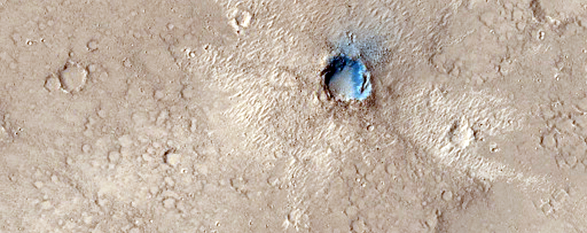 Thermal Anomaly in Young Lava Flows of Elysium Region
