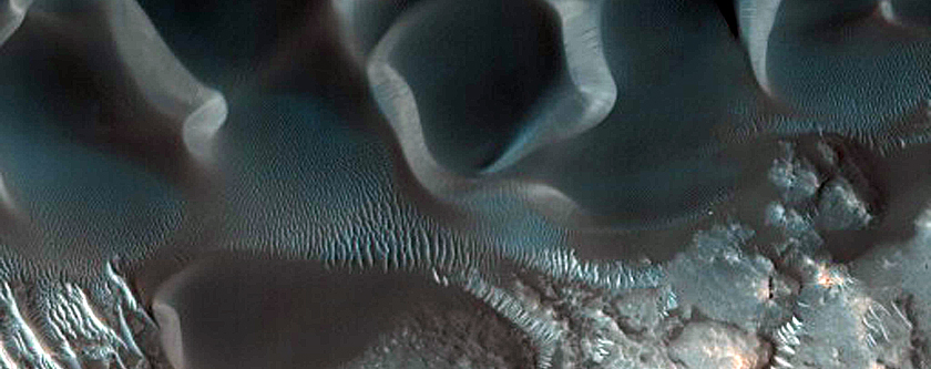 Dune Survey