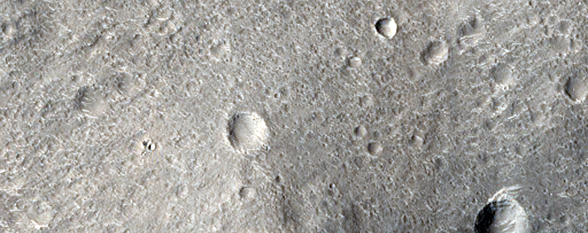 Pie-Like Feature in Nepenthes Planum 