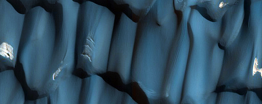Chasma Boreale Megadune Evolution