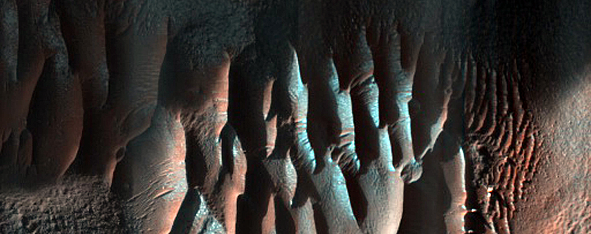 Slope and Gully Monitoring
