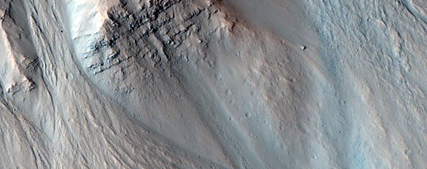 South-Facing Gullies