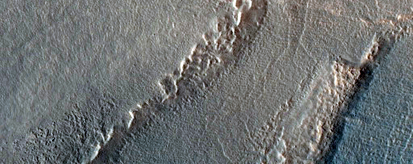 Gully Monitoring