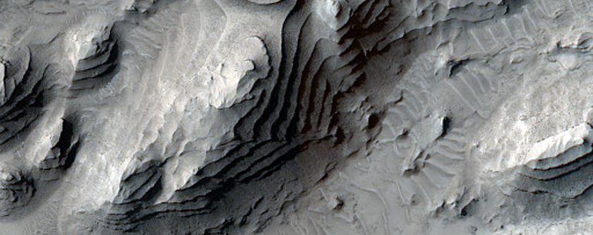 Extensive Outcrops of Sedimentary Rock in Danielson Crater