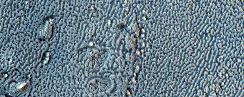 Shearing Structures between Viscous Flow Features