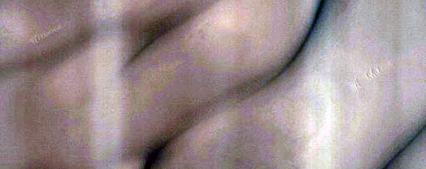 Potential Compound Dune