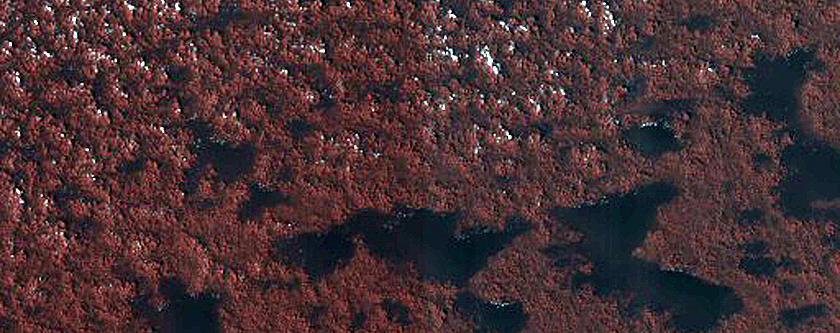 Dune Interaction with Residual Polar Ice