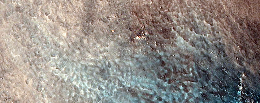 Gully Monitoring