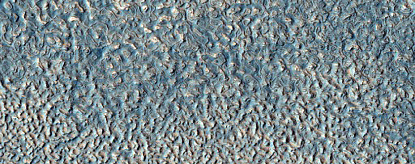 Impact Monitoring in Arcadia Planitia