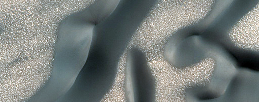 Potential Compound Dune