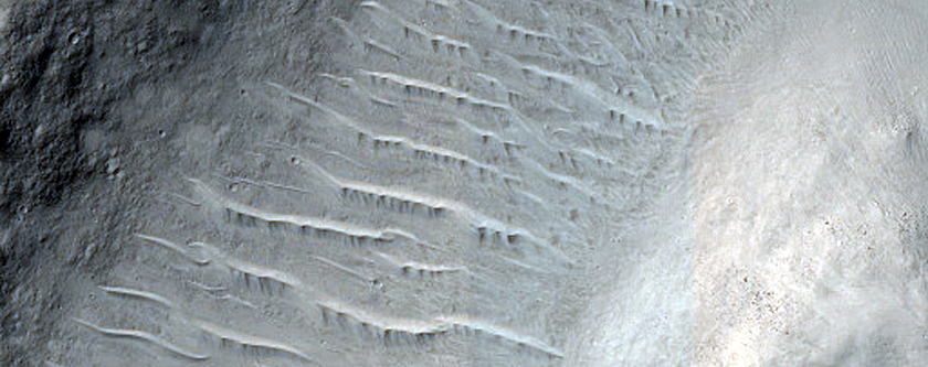 Curve in Valley in Northern Terra Cimmeria