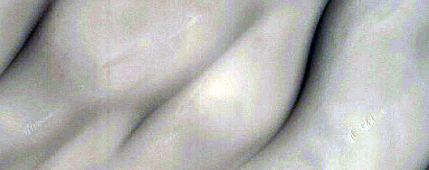 Potential Compound Dune