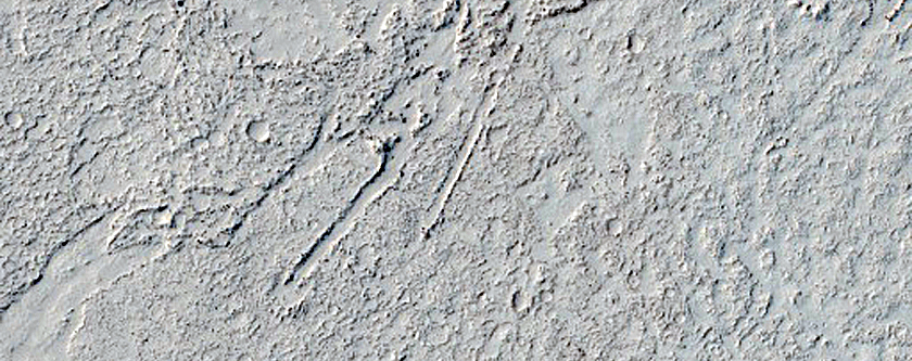 Platy-Ridged Lava in Elysium Planitia