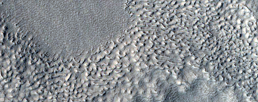 Ridges on Crater Floor in Protonilus Mensae