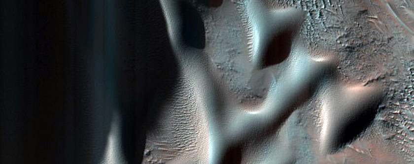 Dune Field