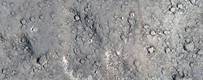 Thermal Anomaly in Young Lava Flows of Elysium Region