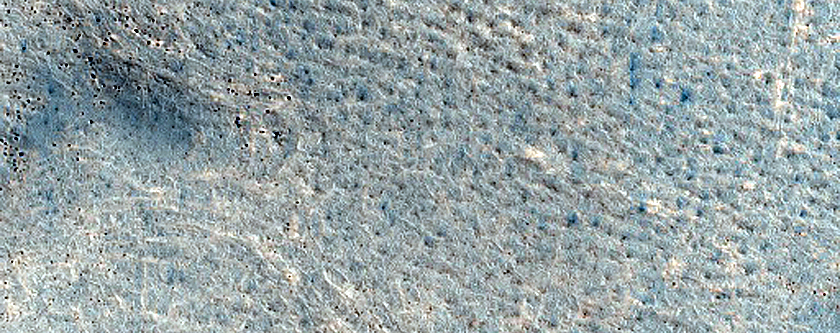 Terrain Sample