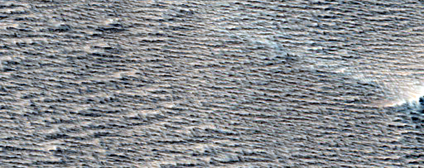 Candidate Recent Impact Site