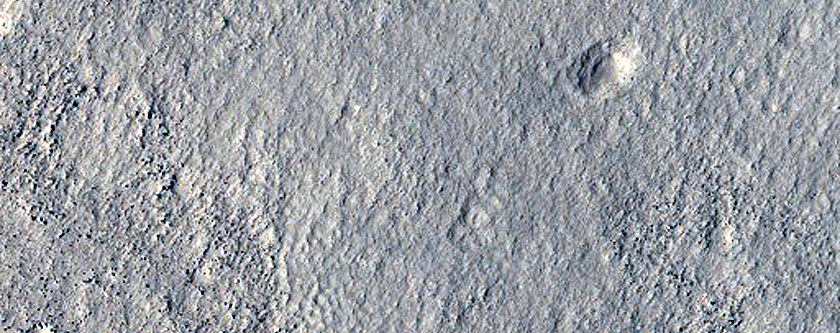 Northern Plains Surface