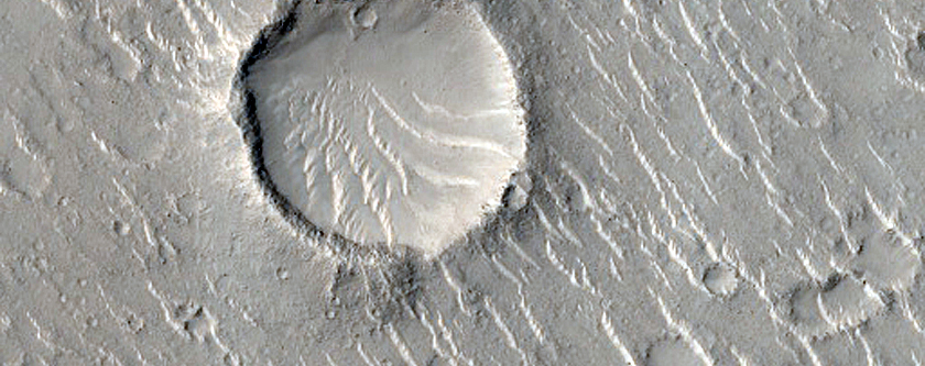 Pitted Cones in Isidis Dorsa