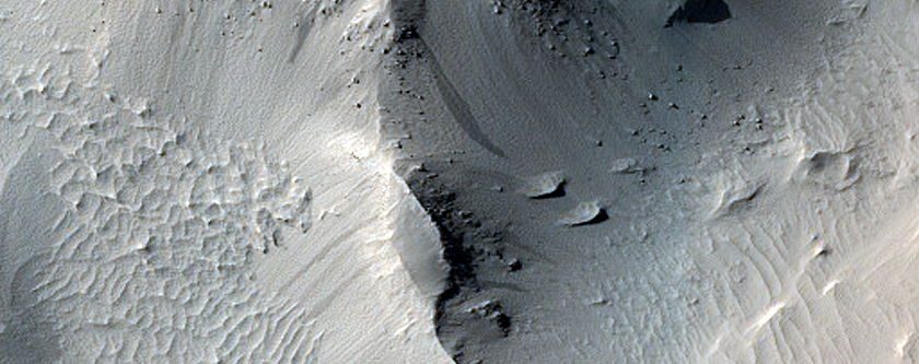 Terrain Sample