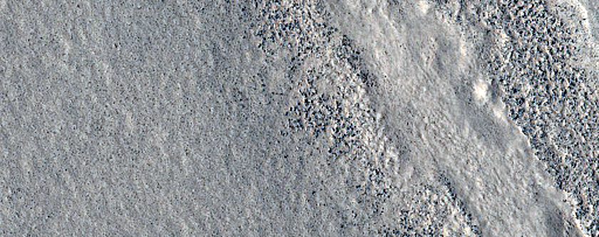 Channelized Flow in Arcadia Planitia