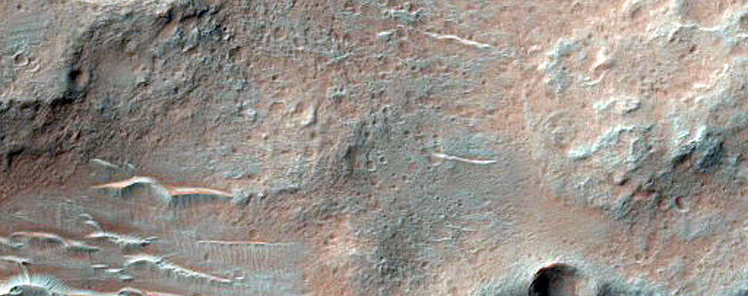 Dune Field