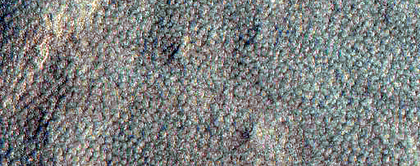 Terrain Sample