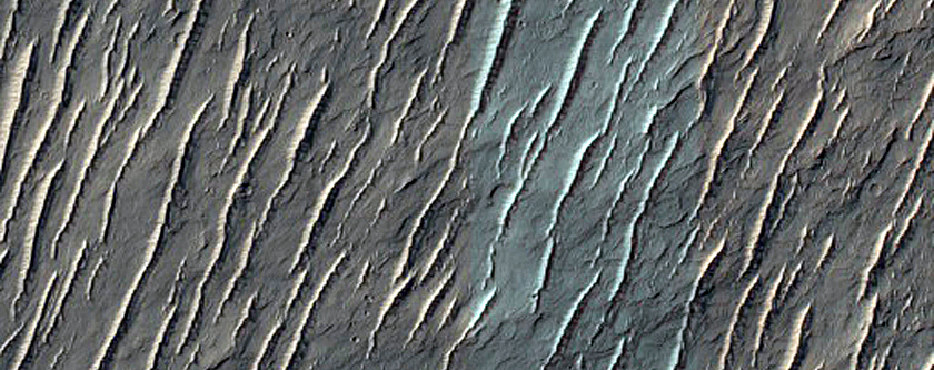 Terrain Sample