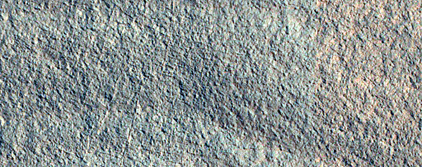 Gully and Frost Monitoring