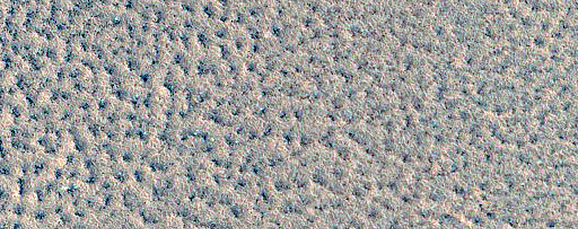 Monitor Northern Plains Bright Patches