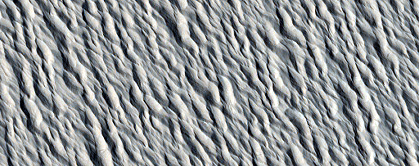 Monitoring Site in Northern Amazonis Planitia