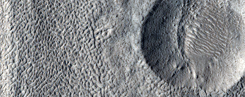 Glacier Layering Revealed by Impact Crater on Viscous Flow Features Surface