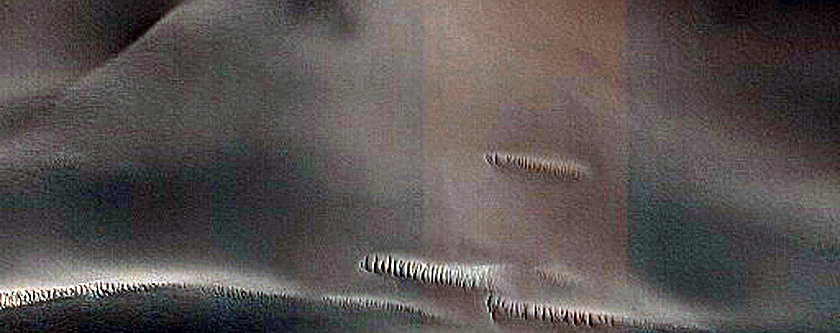 Scandia Cavi Polar Erg Dunes