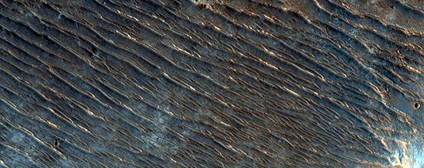 Phyllosilicate-Rich Terrain in Libya Montes 