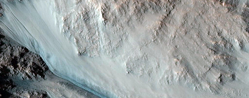 Gully Monitoring