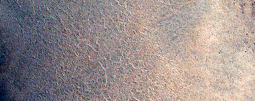 Terrain Sample