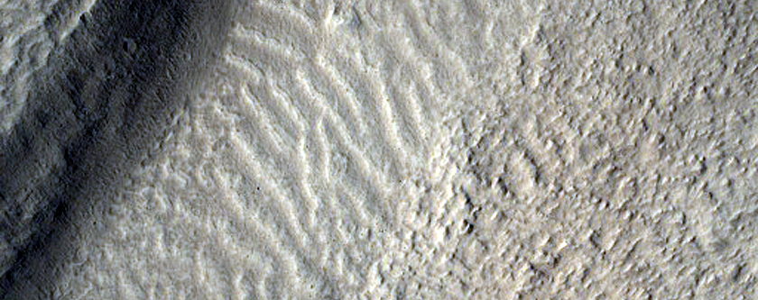 Fresh Impact Crater in Tempe Terra