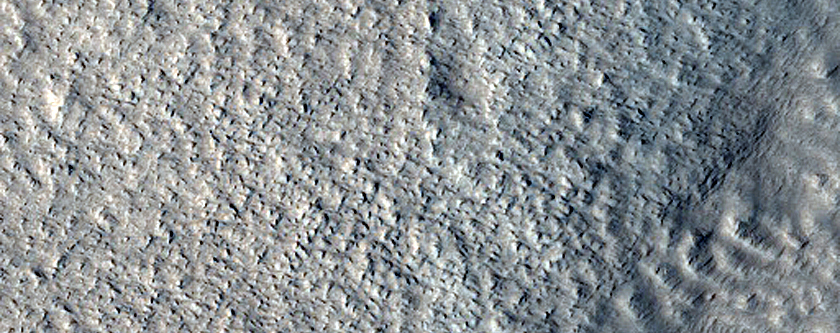Terrain Sample