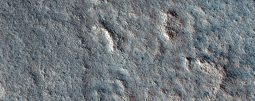 Terrain Sample