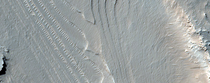 Layering in Lucus Planum
