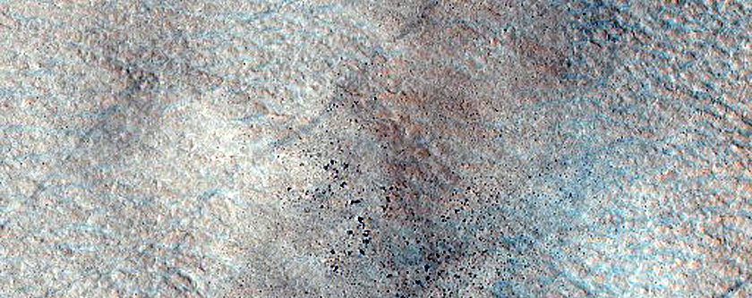 Terrain Sample