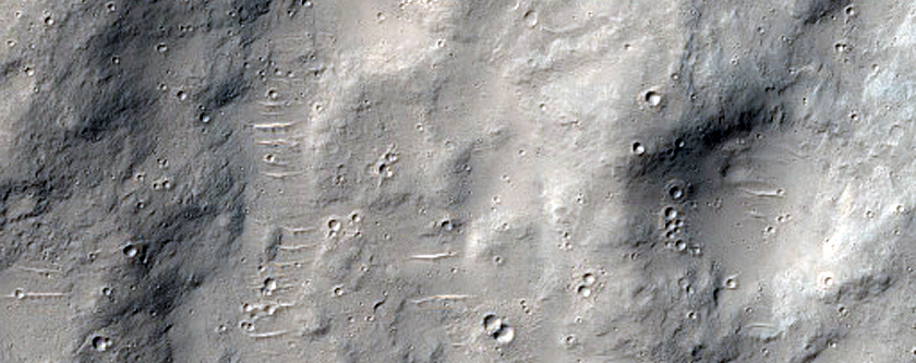 Terrain Sample