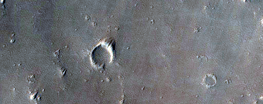 Skylight Candidate near Elysium Mons