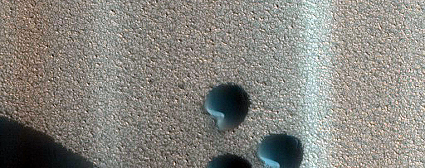 Monitoring Dune Source in West Olympia Cavi