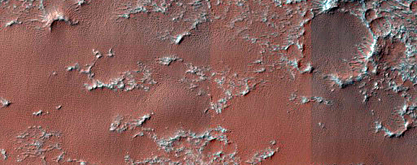 Dune Field