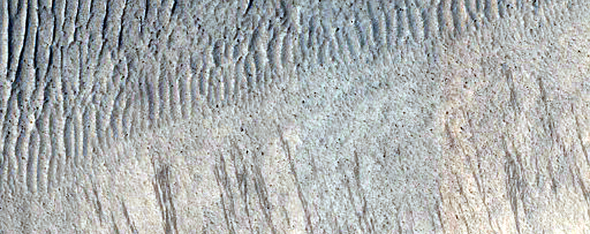 Sacra Fossae