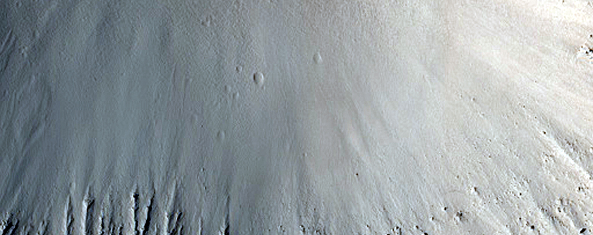 Terrain Sample